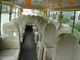 Safetlyのディーゼル星旅行は手動変速機が付いている耐久財30の乗用バンをバスで運びます サプライヤー